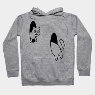 Cat portal Hoodie